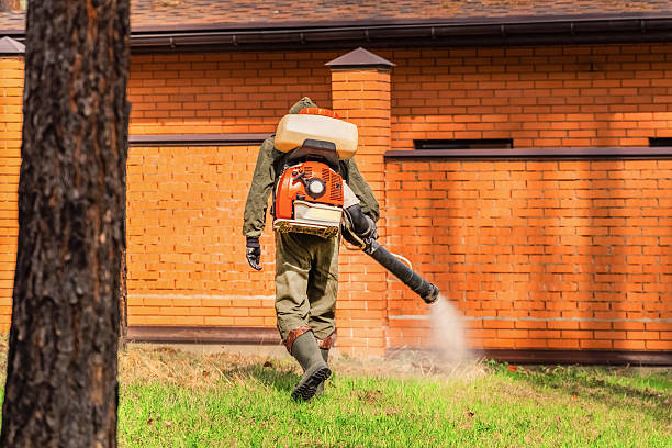 Trusted Emergency Pest Control service in Grosse Pointe Woods, MI - Nex Pest Control
